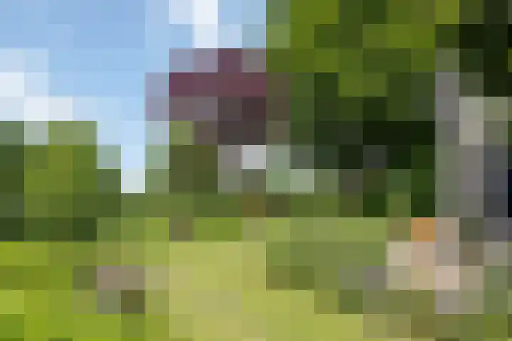 Fortmonderweg 29 Olst thumbnail 12