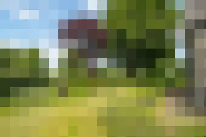 Fortmonderweg 29 Olst thumbnail 13