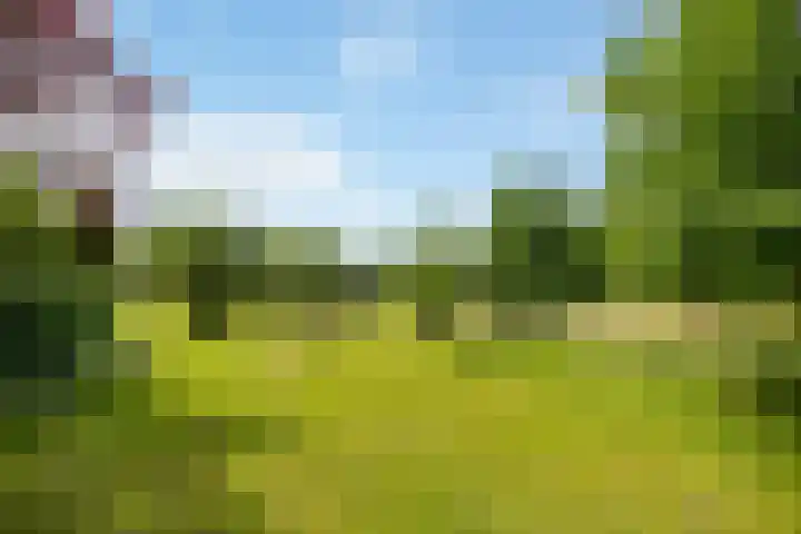 Fortmonderweg 29 Olst thumbnail 15