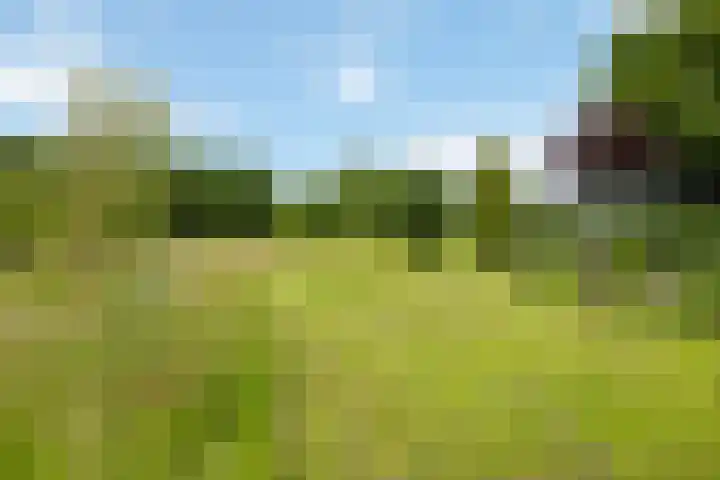 Fortmonderweg 29 Olst thumbnail 16