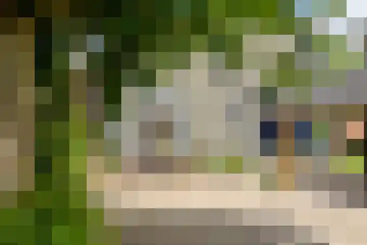 Fortmonderweg 29 Olst thumbnail 20