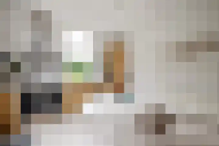 Fortmonderweg 29 Olst thumbnail 22