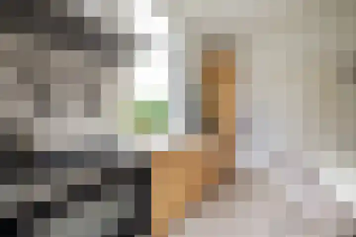 Fortmonderweg 29 Olst thumbnail 23