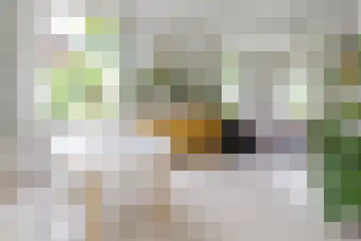 Fortmonderweg 29 Olst thumbnail 24
