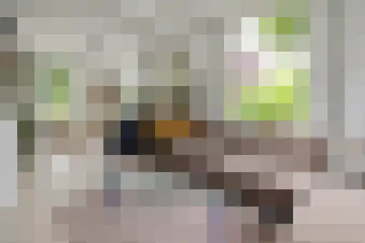 Fortmonderweg 29 Olst thumbnail 25