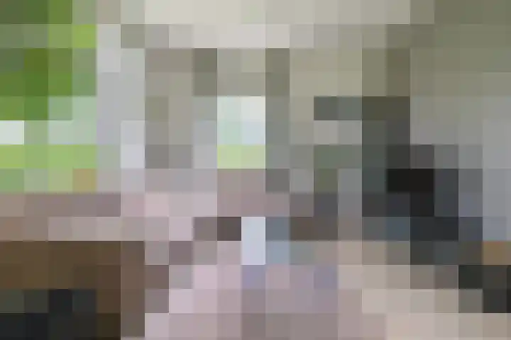 Fortmonderweg 29 Olst thumbnail 27