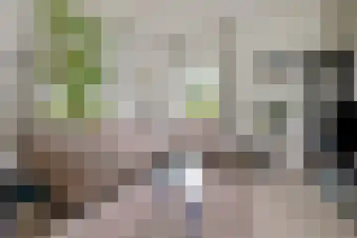 Fortmonderweg 29 Olst thumbnail 28