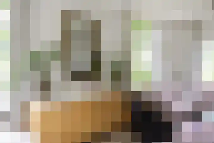 Fortmonderweg 29 Olst thumbnail 31
