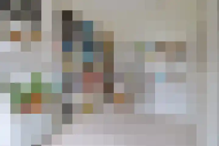 Fortmonderweg 29 Olst thumbnail 33