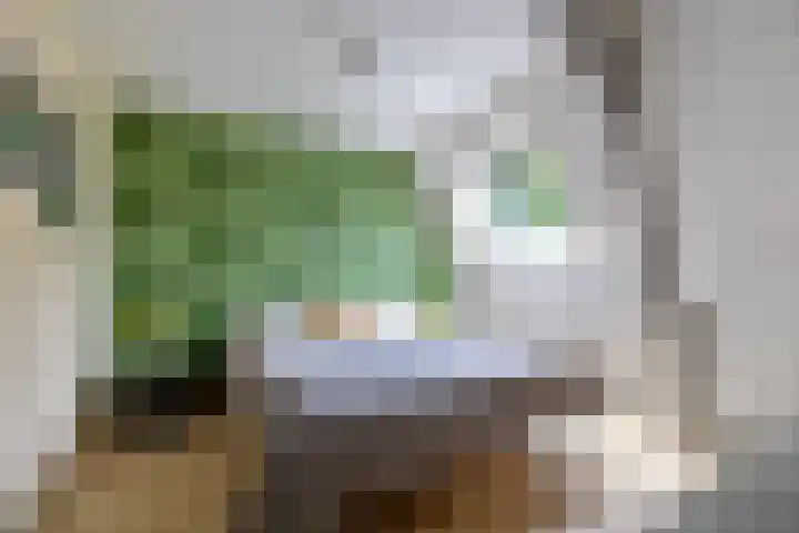 Fortmonderweg 29 Olst thumbnail 38