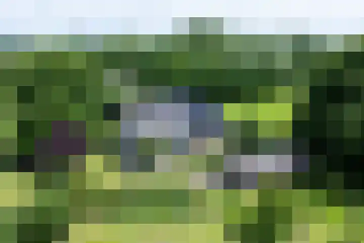 Fortmonderweg 29 Olst thumbnail 5