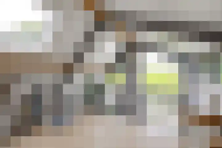 Fortmonderweg 29 Olst thumbnail 50