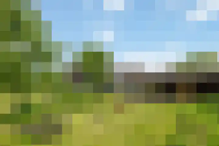 Fortmonderweg 29 Olst thumbnail 53