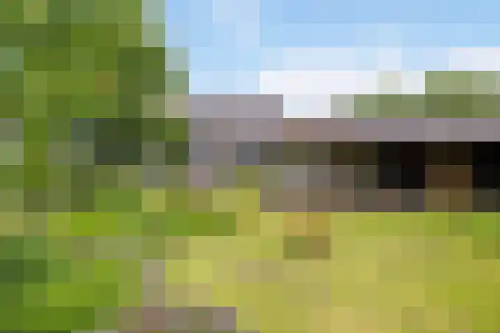 Fortmonderweg 29 Olst thumbnail 54