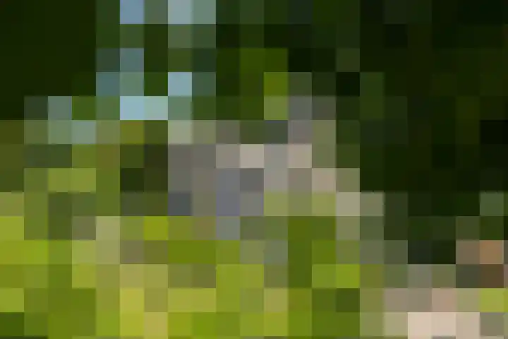 Fortmonderweg 29 Olst thumbnail 58