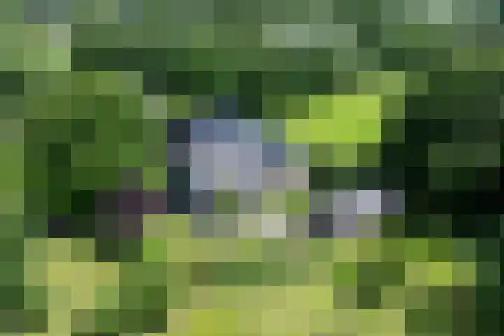Fortmonderweg 29 Olst thumbnail 6