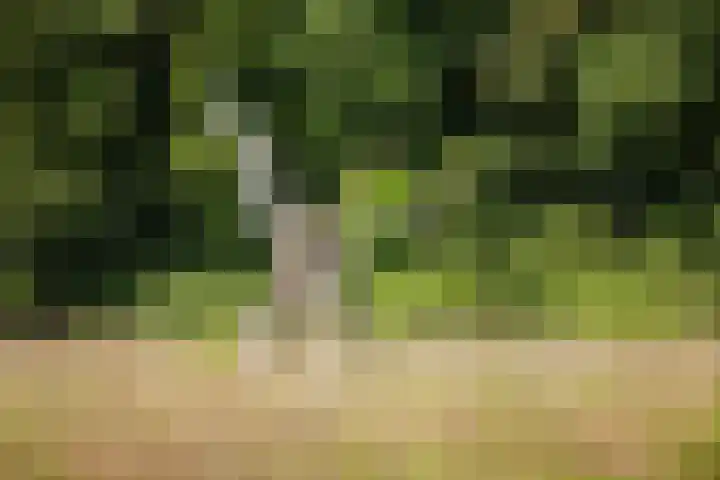 Fortmonderweg 29 Olst thumbnail 60