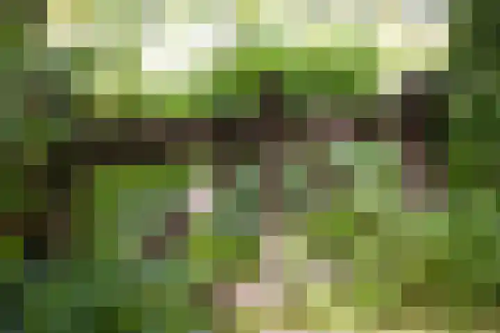 Fortmonderweg 29 Olst thumbnail 61