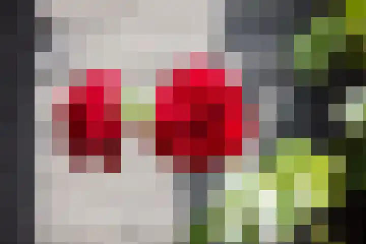 Fortmonderweg 29 Olst thumbnail 62