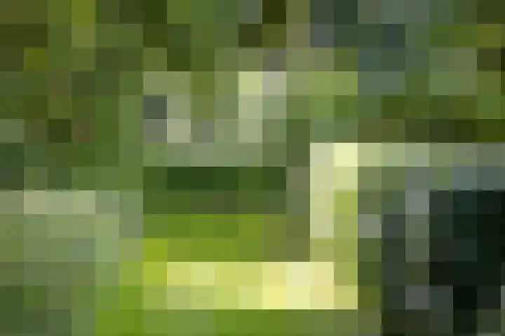 Fortmonderweg 29 Olst thumbnail 63