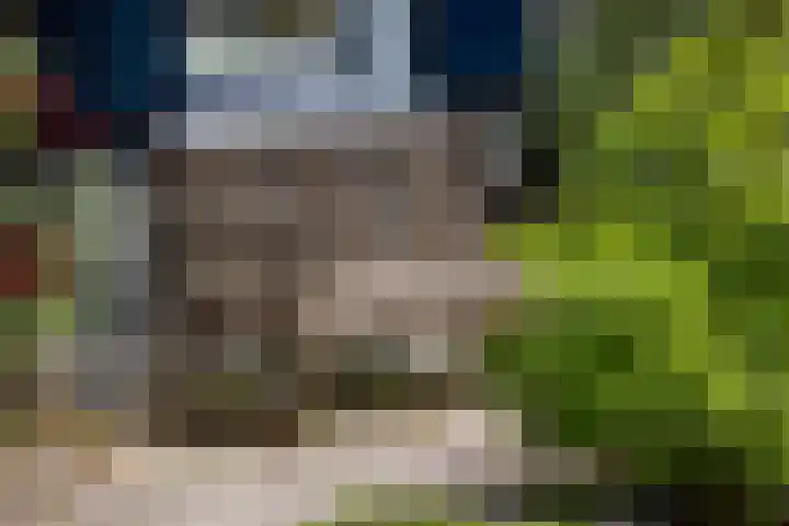 Fortmonderweg 29 Olst thumbnail 64
