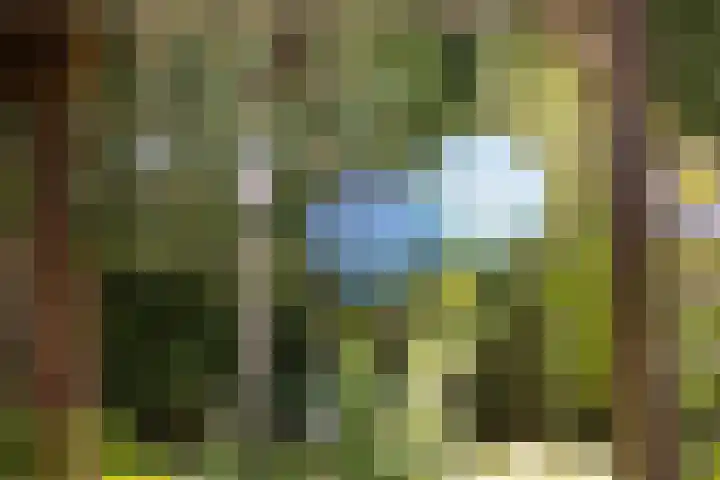 Fortmonderweg 29 Olst thumbnail 65