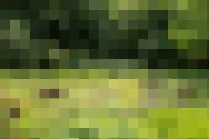 Fortmonderweg 29 Olst thumbnail 66
