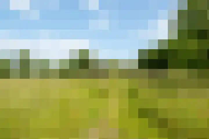 Fortmonderweg 29 Olst thumbnail 67