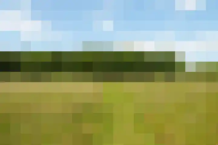 Fortmonderweg 29 Olst thumbnail 68