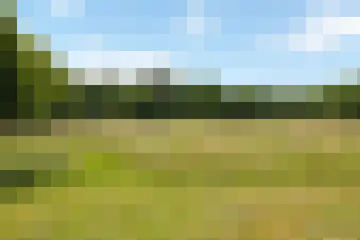 Fortmonderweg 29 Olst thumbnail 69
