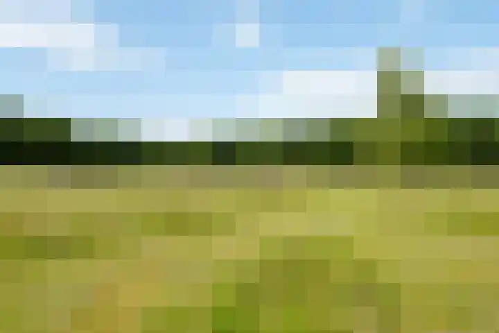 Fortmonderweg 29 Olst thumbnail 70