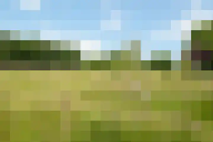 Fortmonderweg 29 Olst thumbnail 71