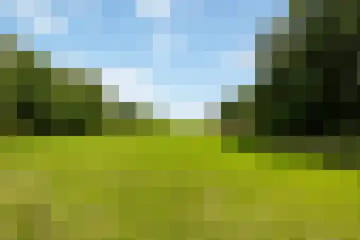Fortmonderweg 29 Olst thumbnail 72