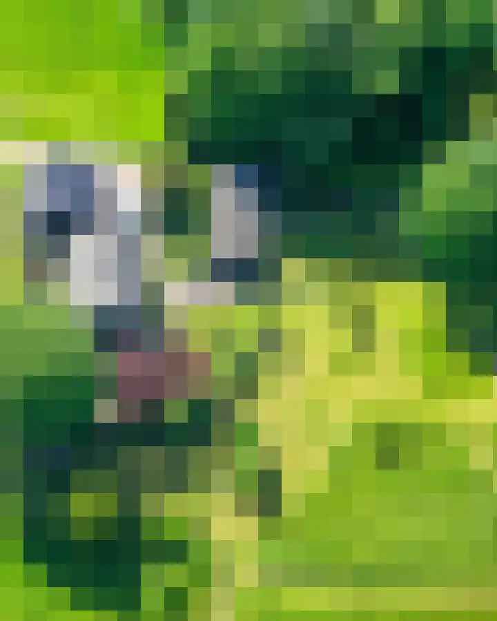 Fortmonderweg 29 Olst thumbnail 73