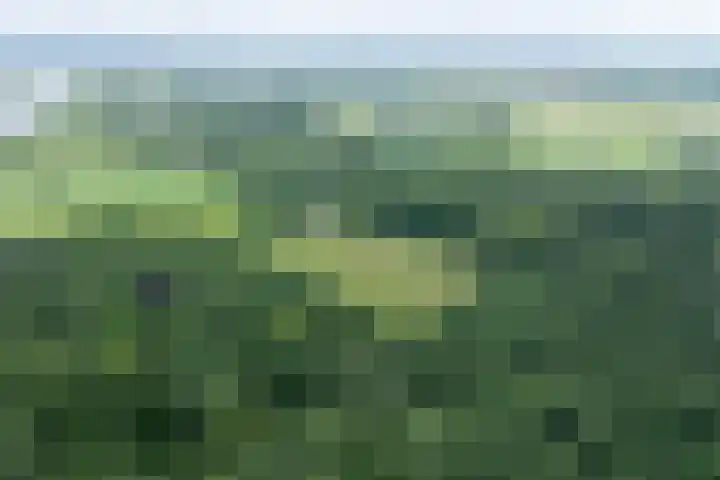 Fortmonderweg 29 Olst thumbnail 77