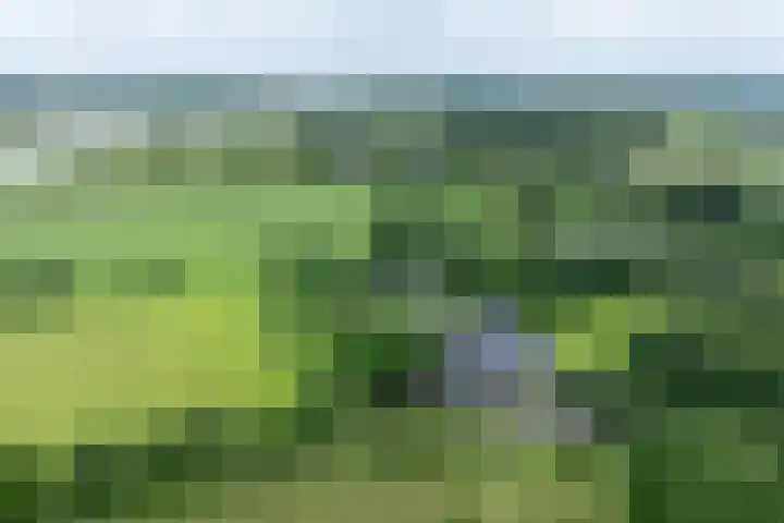 Fortmonderweg 29 Olst thumbnail 78