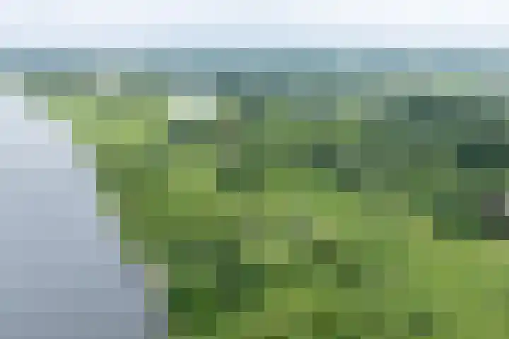 Fortmonderweg 29 Olst thumbnail 79