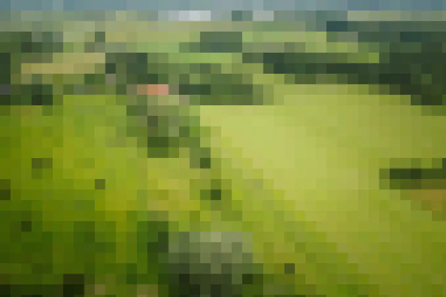 Fortmonderweg 37 Olst thumbnail 14