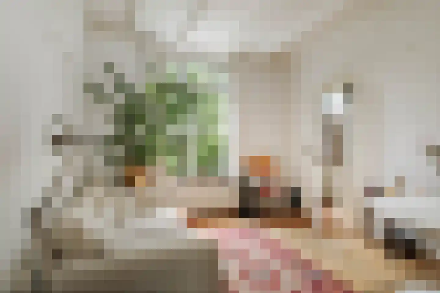 Fortmonderweg 37 Olst thumbnail 15