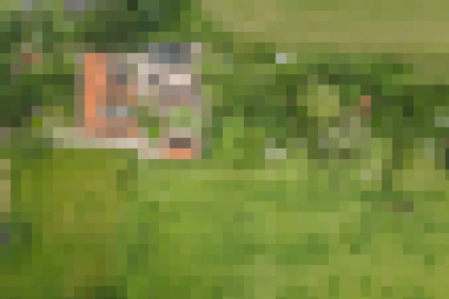 Fortmonderweg 37 Olst thumbnail 33