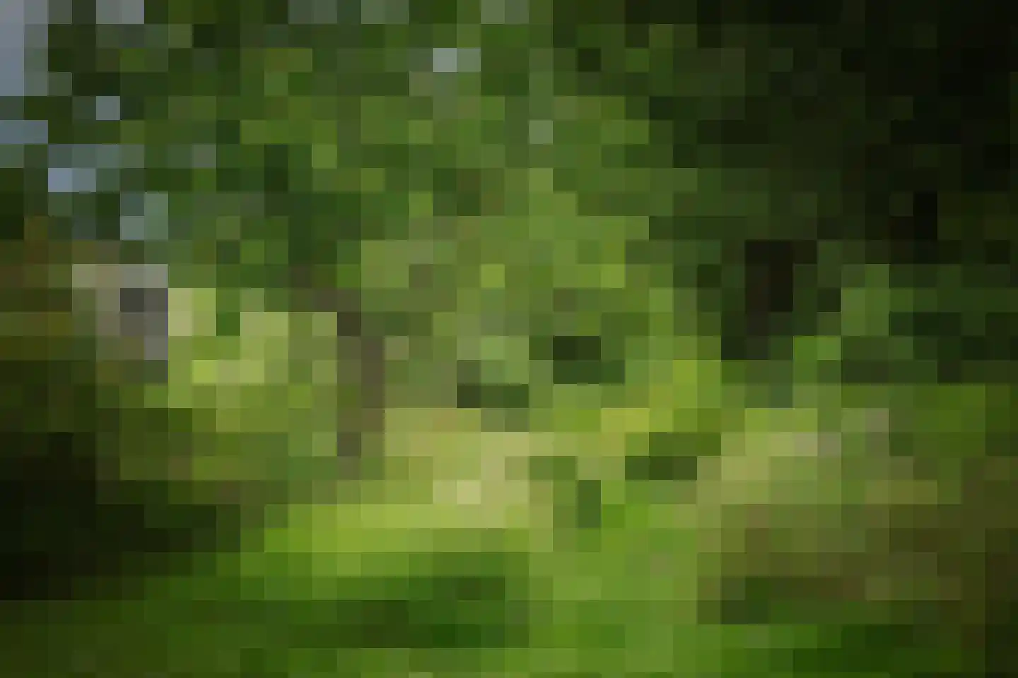 Fortmonderweg 37 Olst thumbnail 36