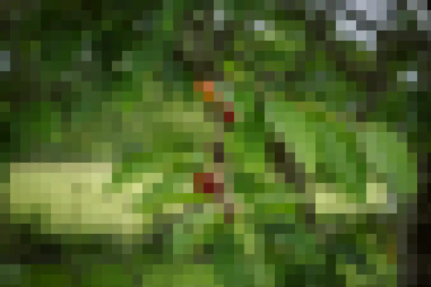 Fortmonderweg 37 Olst thumbnail 37