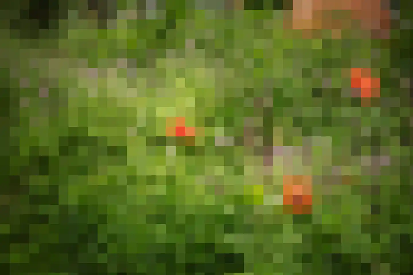 Fortmonderweg 37 Olst thumbnail 38