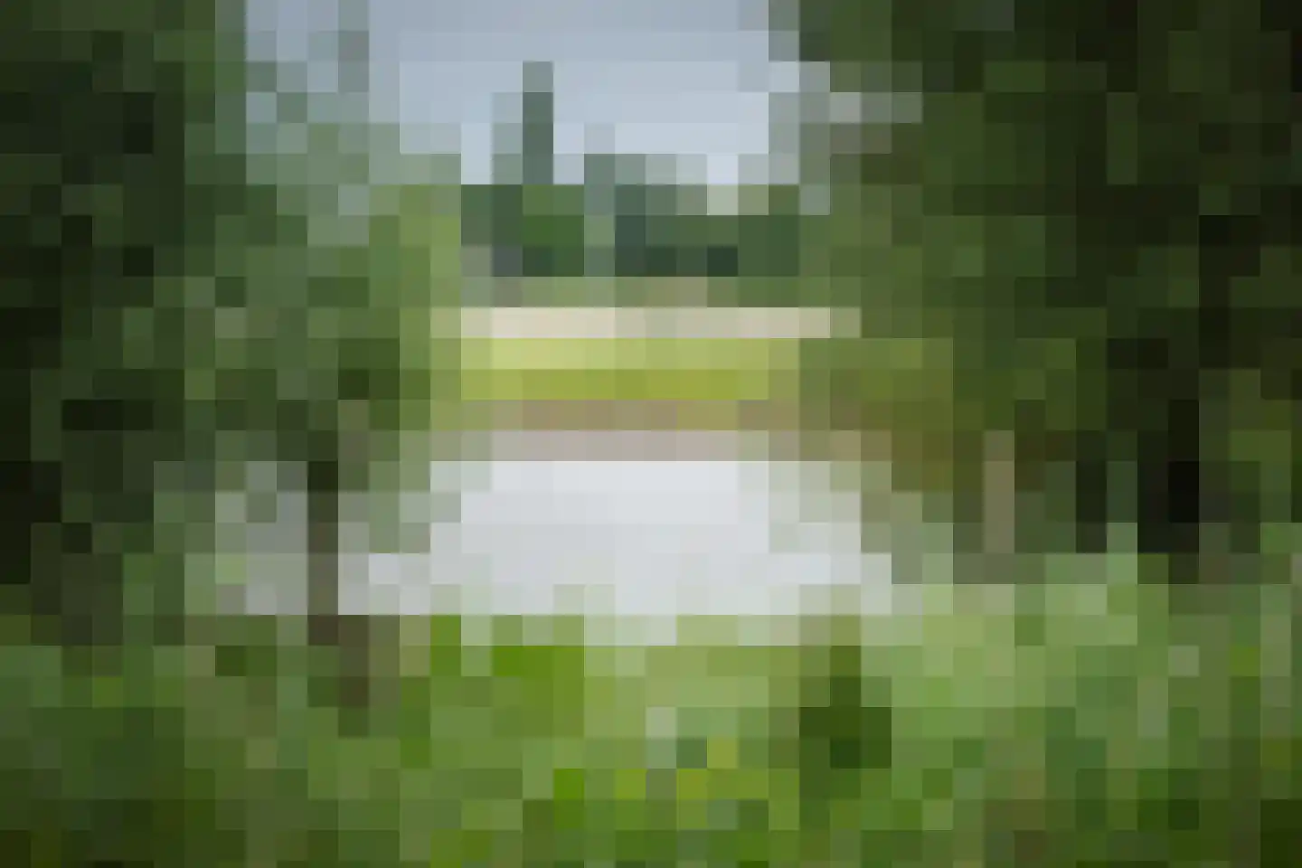Fortmonderweg 37 Olst thumbnail 40