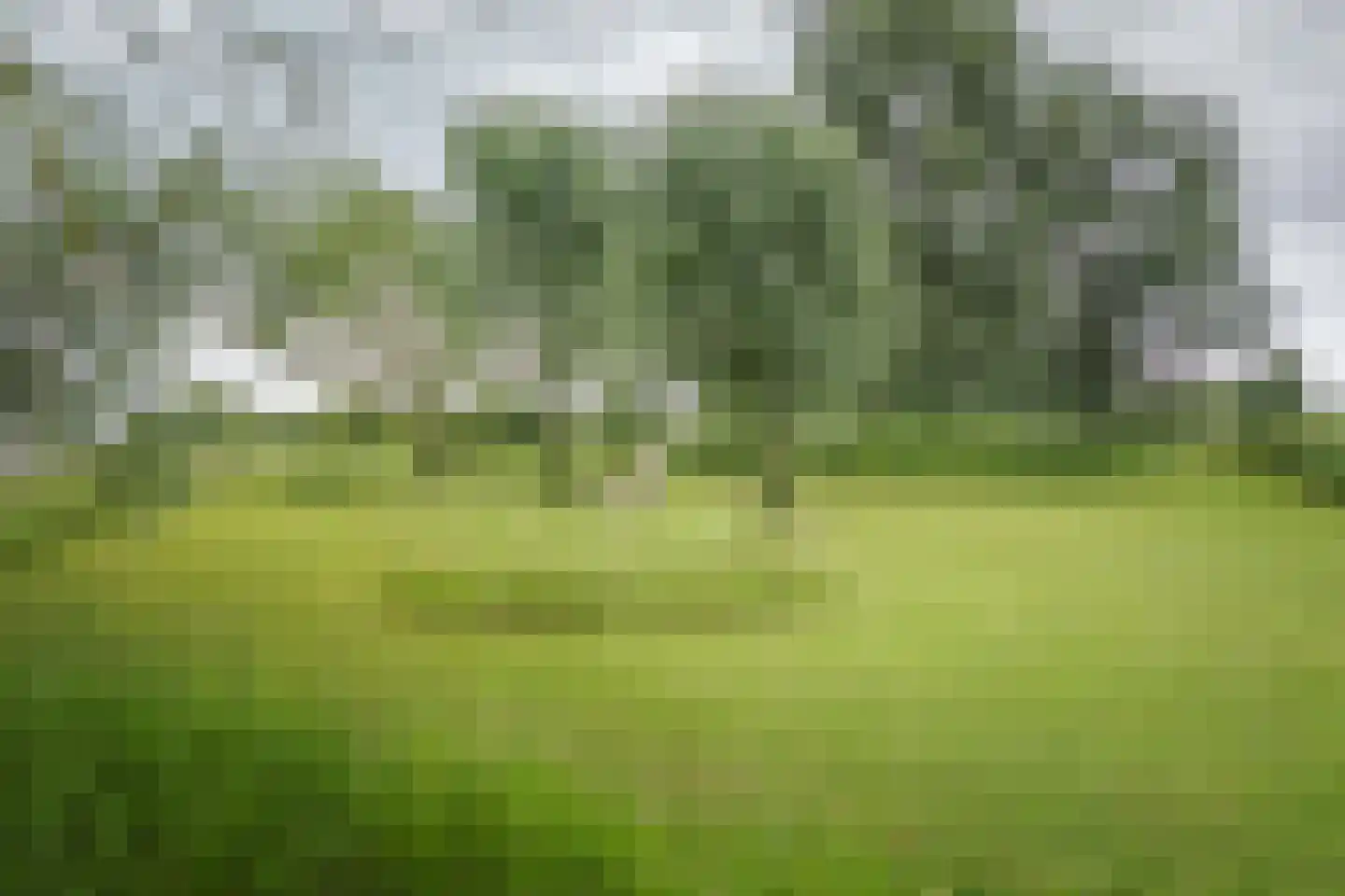 Fortmonderweg 37 Olst thumbnail 43