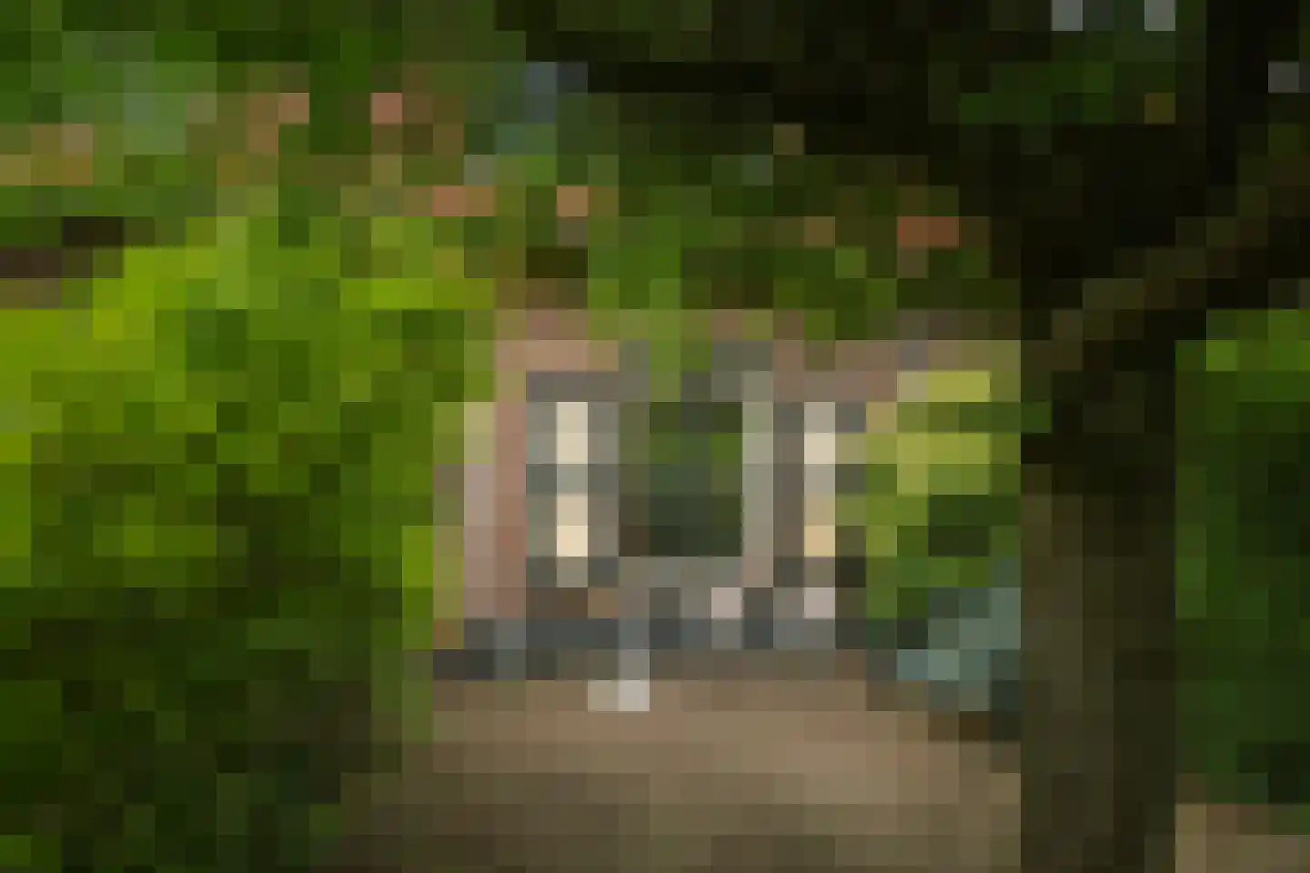 Fortmonderweg 37 Olst thumbnail 5