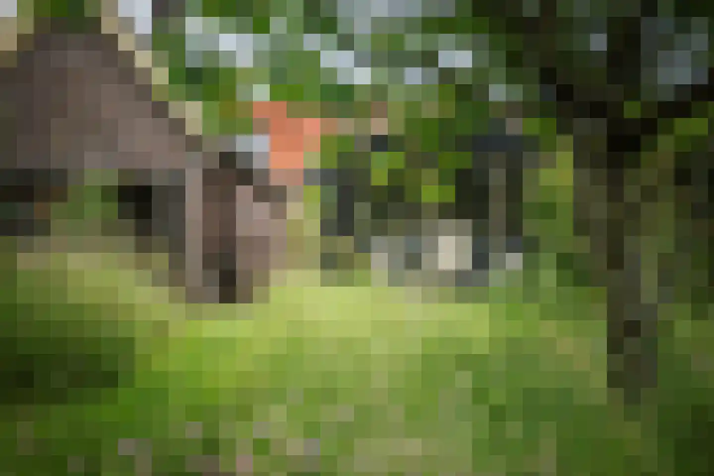 Fortmonderweg 37 Olst thumbnail 9