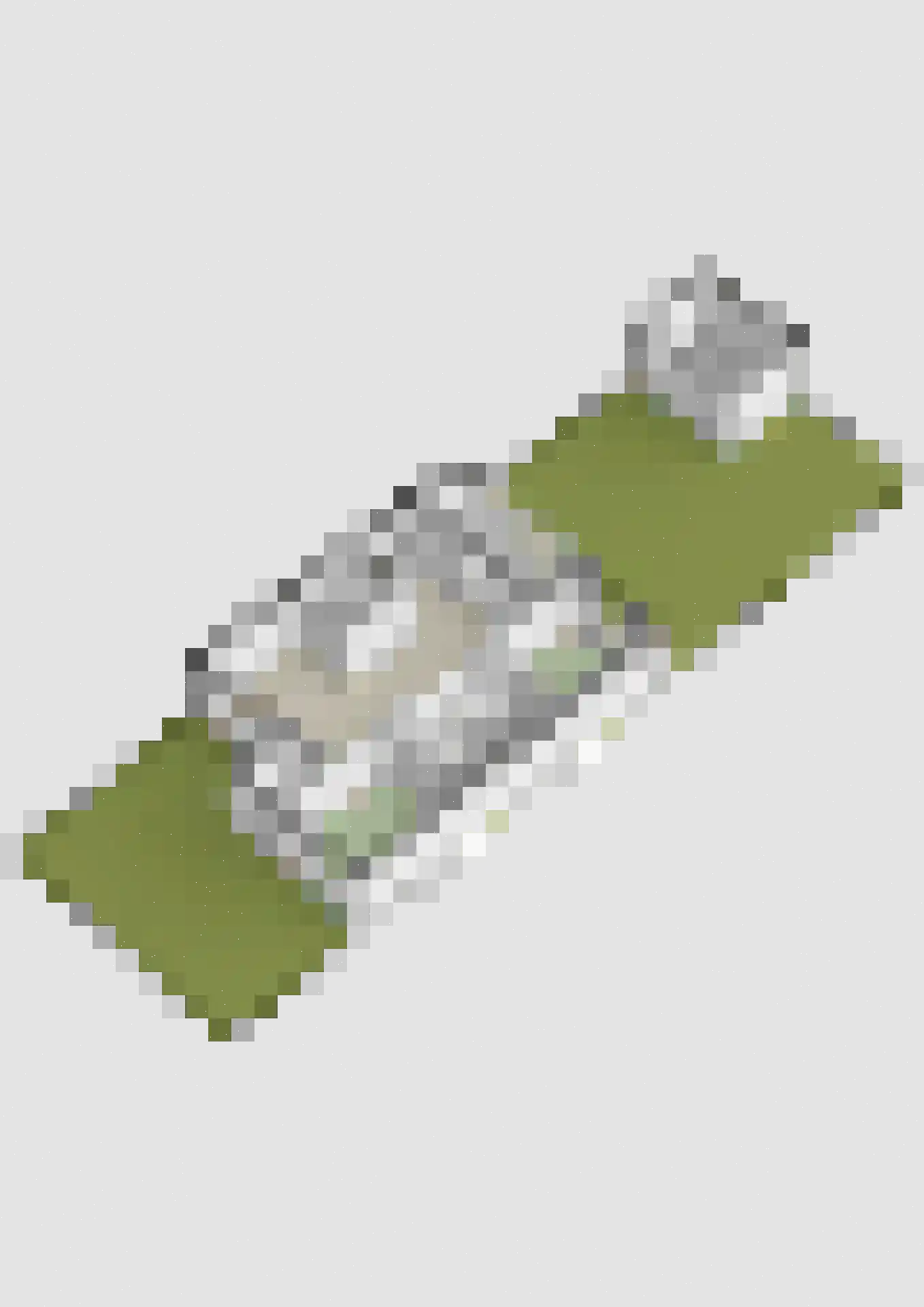 Fortplein 10 Steenbergen thumbnail 50
