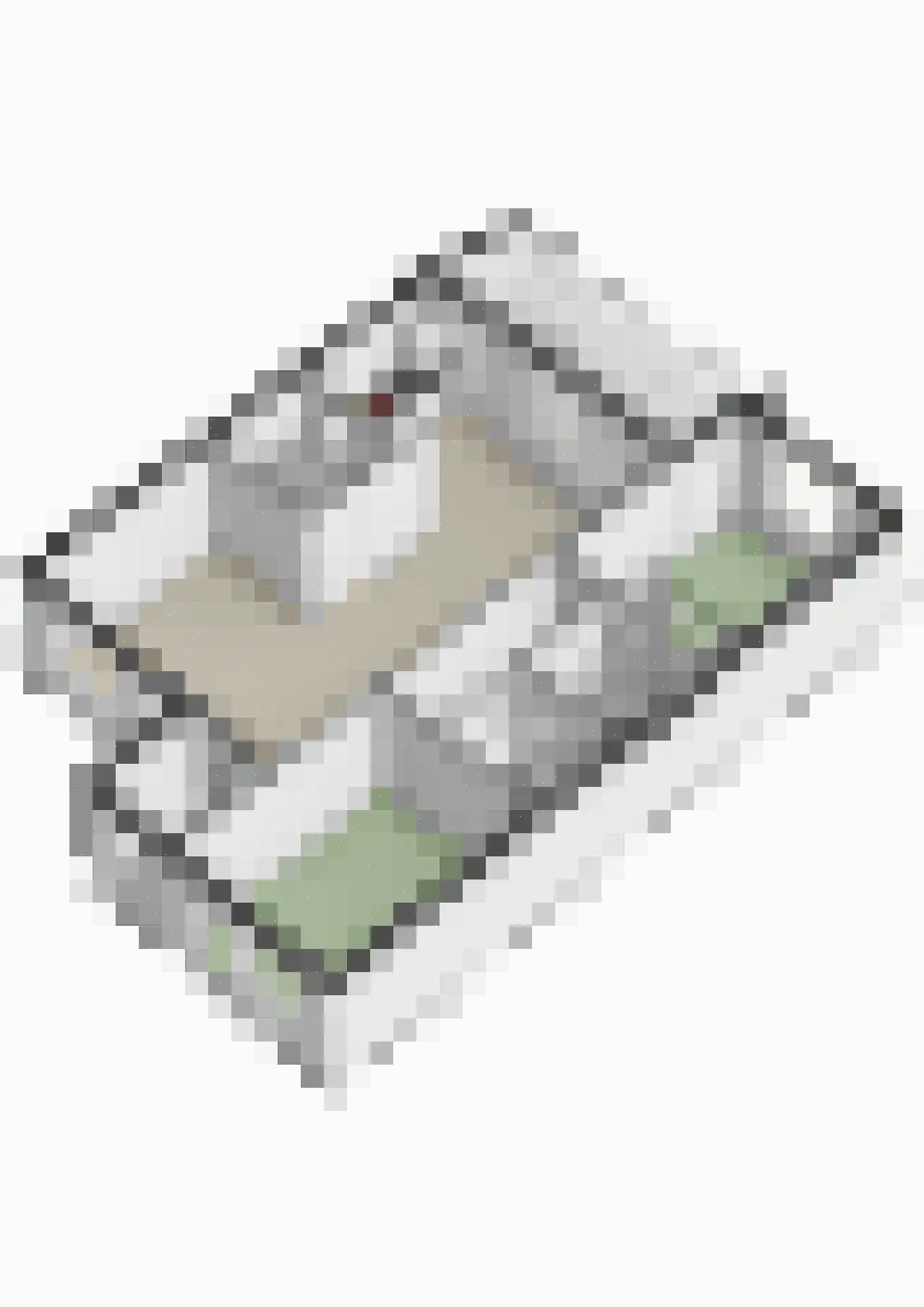 Fortplein 10 Steenbergen thumbnail 51