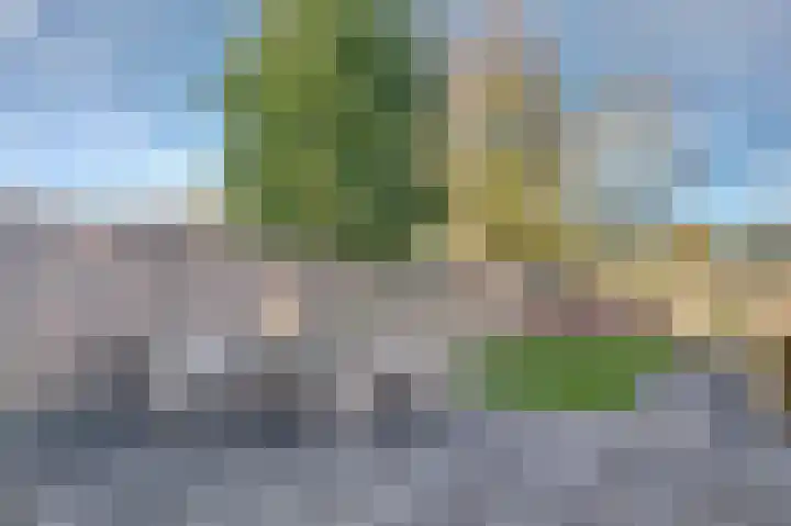 Fortrapastraat 19 's-Gravenpolder thumbnail 28